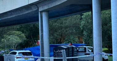 Emergency services were called to Westfield Tuggerah about 4.25am on Tuesday (crime scene pictured)