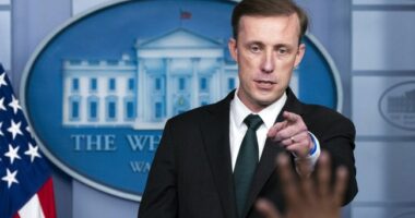 What Constitution? See What National Security Advisor Sullivan Says About Warrants for FISA Searches