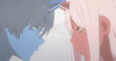 What Does Darling in the Franxx's Name Mean?