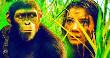 What Is Kingdom Of The Planet Of The Apes?