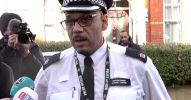What is difference between acid and alkaline? Police confirm substance thrown at mother and children in Clapham