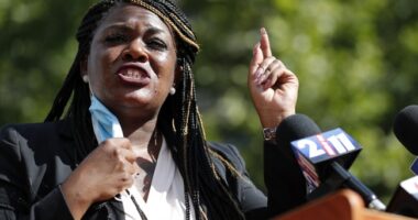 When You Think They Can't Go Any Lower. Rep. Cori Bush Attacks AIPAC Using Lowest Dirty Dig Tactic