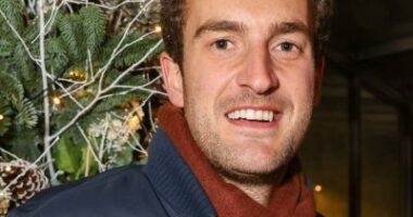 Who Is Sophie Turner New Partner, Peregrine Pearson? Explore His Wiki And Age