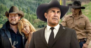 Who Stars in the Hit TV series