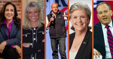 Who'll Replace Ronna? The RNC Chairmanship's Runners and Riders.