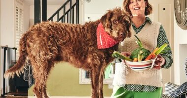 I have found myself extolling the virtues of a plant-based diet to my four-year-old canine for the last few weeks, writes Shona Sibary, seen with her Labradoodle Otto