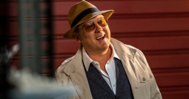 Why The Blacklist Finale Was the Perfect Ending for Raymond Reddington