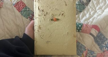 Natalie, who's from the US and goes by @riotgrrr1 on TikTok , shared images of some of the adorable entries about her