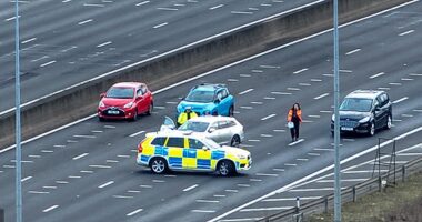 A woman has died in a crash on the M25 between a van and three cars after a police chase