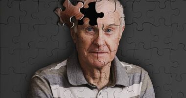 Alzheimer's disease is a type of brain disorder that causes problems with memory, thinking and behaviour (File image)