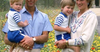 Diana holds William while Charles holds Harry at Highgrove