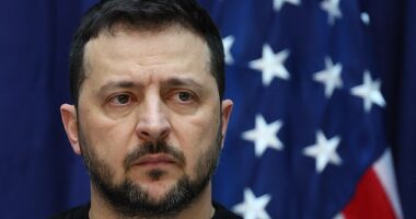 Far-right activists claimed Ukrainian President Volodymyr Zelensky owned the extravagant $75 million Florida property -  though he never lived there