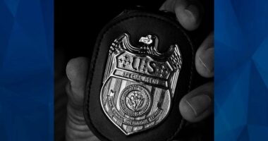 NCIS badge