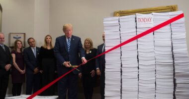 ‘Deep state’ thwarted first-term Trump agenda. There's a scheme to avoid repeat.