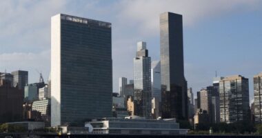 ‘Hamas is Not a Terrorist Group’ – HotAir