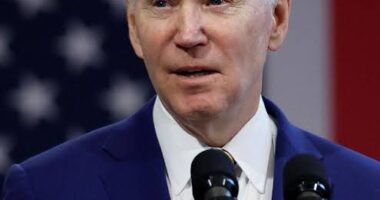 ?Something isn?t right? - Several Doctors call for Biden to take mental competency test after scathing classified report he can