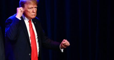 ‘Stupid thing to say’: Republicans divided on Trump threat to violate Nato defence pledge