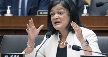 'Communist Pipe Dreams!' Rep. Jayapal Pushes Medicare for All, Steps on the Rake