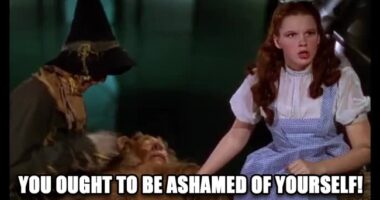 'Disaster for Humanity': TikToker DRAGGED for Saying We Should Be 'Empathetic' to Subway Punchers