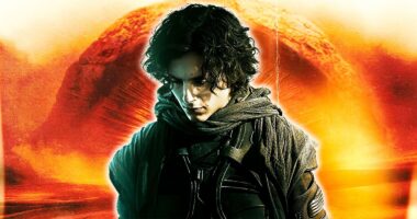 'We Continue to Learn and Evolve': AMC Addresses the Infamous Dune 2 Popcorn Bucket
