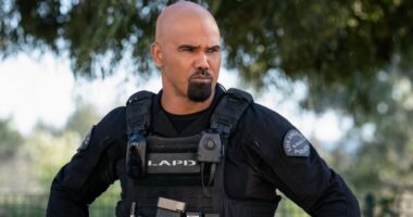 'We Won This Fight': S.W.A.T. Star Reacts to Surprise Series Renewal