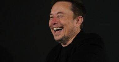 'Words Mean Things': Web Comic Author Gets ROASTED for Calling Elon Musk a 'Literal Nazi'