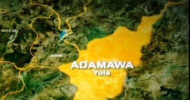 19 children die from measles complications in Adamawa state