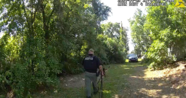 4-Year-Old Girl And Mother Found Dead In 'Gruesome' Stabbing At Florida Home