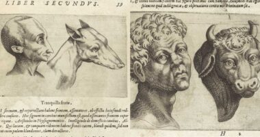 AI Can Predict Your Politics Just From Your Face.