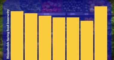 The U.S. Department of Agriculture revealed that in 2022 there were 17 million households that struggled to afford food needed to feed their families