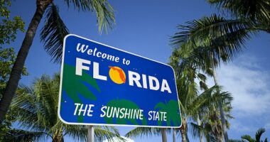 Florida appears to be is losing its shine as disillusioned newcomers find the state less idyllic than they had expected, despite plentiful sunshine and tax breaks