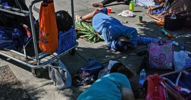 A group passed out near the Waterfront Park in downtown Portland, one of many open-air fentanyl markets
