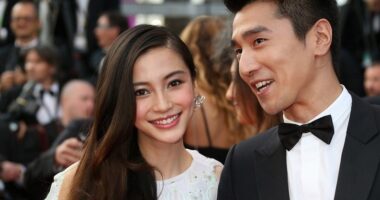 Celebrity Net Worth logo