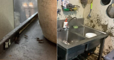 Angel's Restaurant in Bedok fined S$3,300 after 19 people fell ill - Mothership.SG