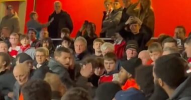 Arsenal fans took turns punching a Bayern Munich fan who had infiltrated the Emirates (seen left of centre, grey coat)