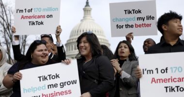 As Congress returns next week, TikTok steps up its fight against a possible ban