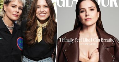 Ashlyn Harris supports Sophia Bush after she comes out as queer