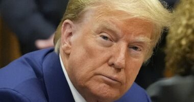 Axios: Trump Allies Will Change Civil Rights Laws to Focus on Anti-White Racism