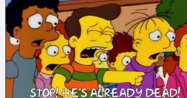 BRUTAL: Steve Cortes OWNS Marc Elias in Heated Back and Forth About Illegals Voting By Calling His BLUFF