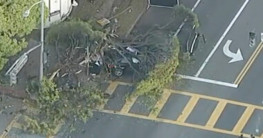 Baby Left to Die on Freeway in Horrific Family Violence That Left 3 Dead