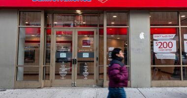 Bank of America sent the private financial data of customers to federal officials to help them investigate crimes related to the January 6, 2021 Capitol protest