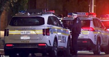 Emergency services rushed to Barrpowell St in Welland, in Adelaide's west, about 1.30am on Wednesday after a man was found unresponsive (pictured, emergency services at the scene)