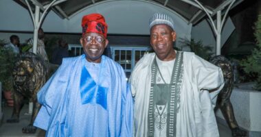 Bear with Tinubu because what is happening is an accumulation of years of neglect by previous administrations