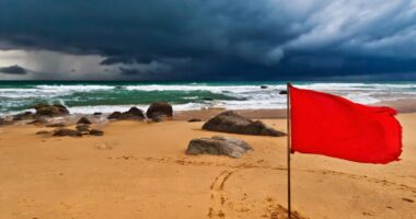 Bearish insiders, bullish investors and global conflict are red flags for stocks