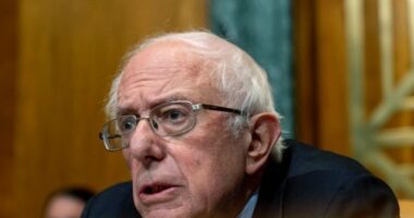 Bernie Sanders: 'No More Military Aid to Israel When Children in Gaza Are Starving'
