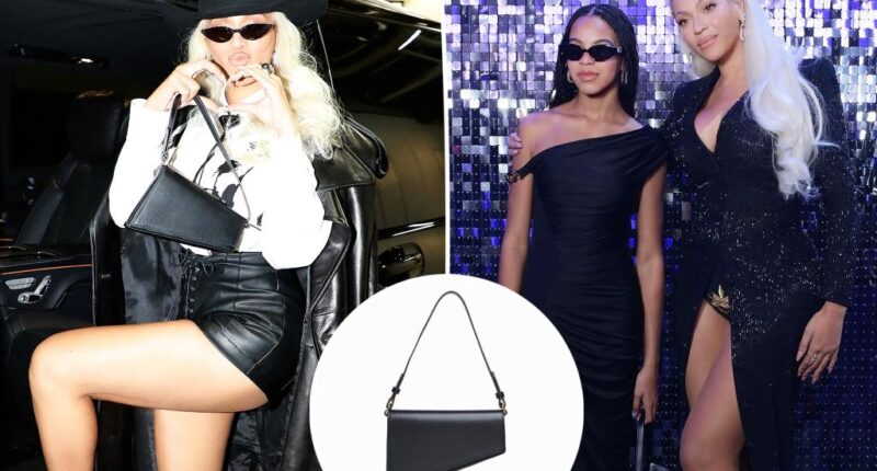 Beyoncé and daughter Blue Ivy share this under-$200 Aupen bag
