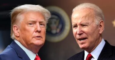 Biden Staffers Have a Nickname for Trump... And It's Shit.