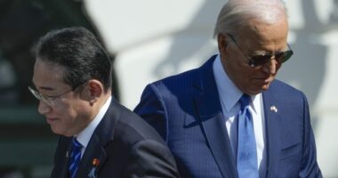 Biden's Bizarre Moments at State Dinner, and the Surprising Things Guests Said About the Election – RedState