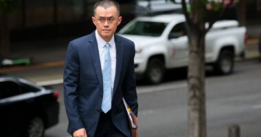 Celebrity Net Worth logo