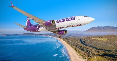 Australia's newest budget airline Bonza has unexpectedly cancelled flights - amid talks about the future viability of the company
